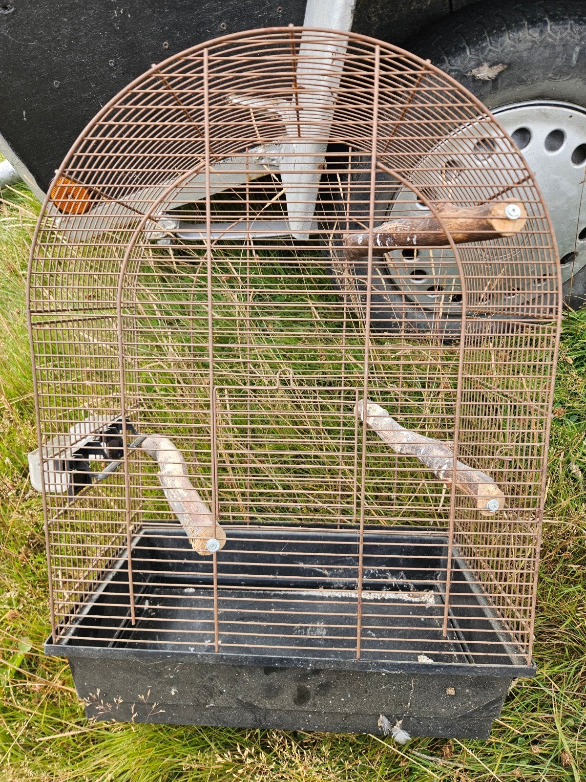 Cage oiseaux, Enlèvement
