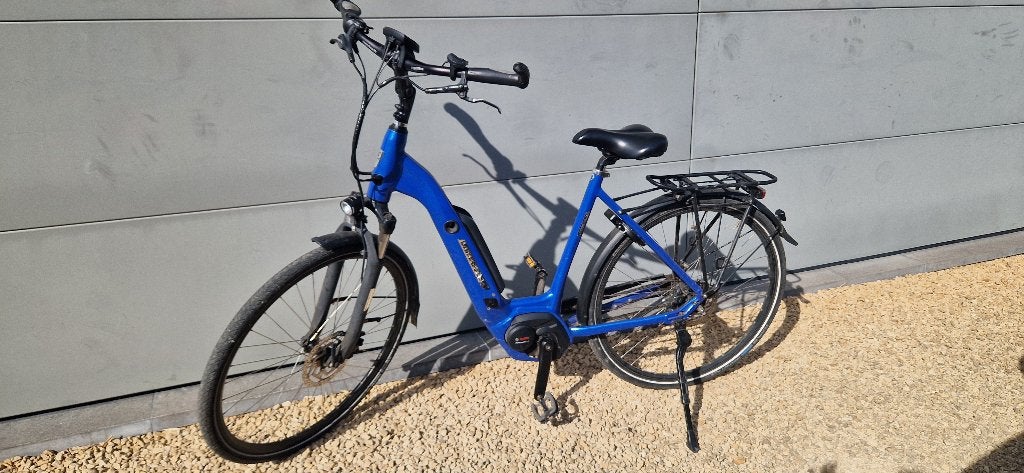 Vélo électrique, Vélos & Vélomoteurs, Enlèvement, Utilisé, Autres marques
