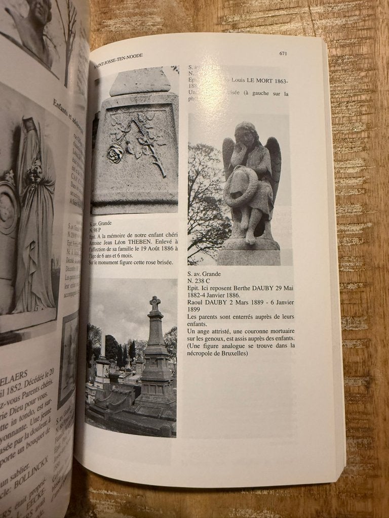 Les champs de repos de la region Bruxelloise - Vandervelde C, Boeken, Ophalen of Verzenden, Cecilia Vandervelde, 20e eeuw of later