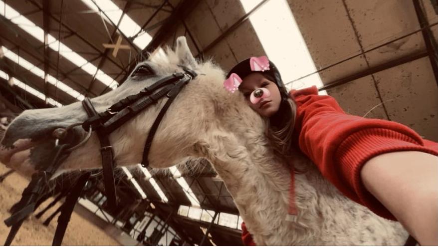 bijrijd pony gezocht, Ophalen of Verzenden, Zo goed als nieuw
