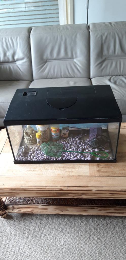 Aquarium, Dieren en Toebehoren, Ophalen