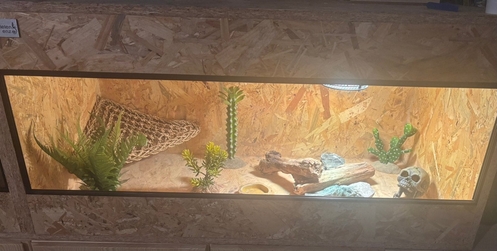 osb terrarium 100x50x50 + toebehoren, Dieren en Toebehoren, Ophalen, Zo goed als nieuw, Terrarium of Paludarium