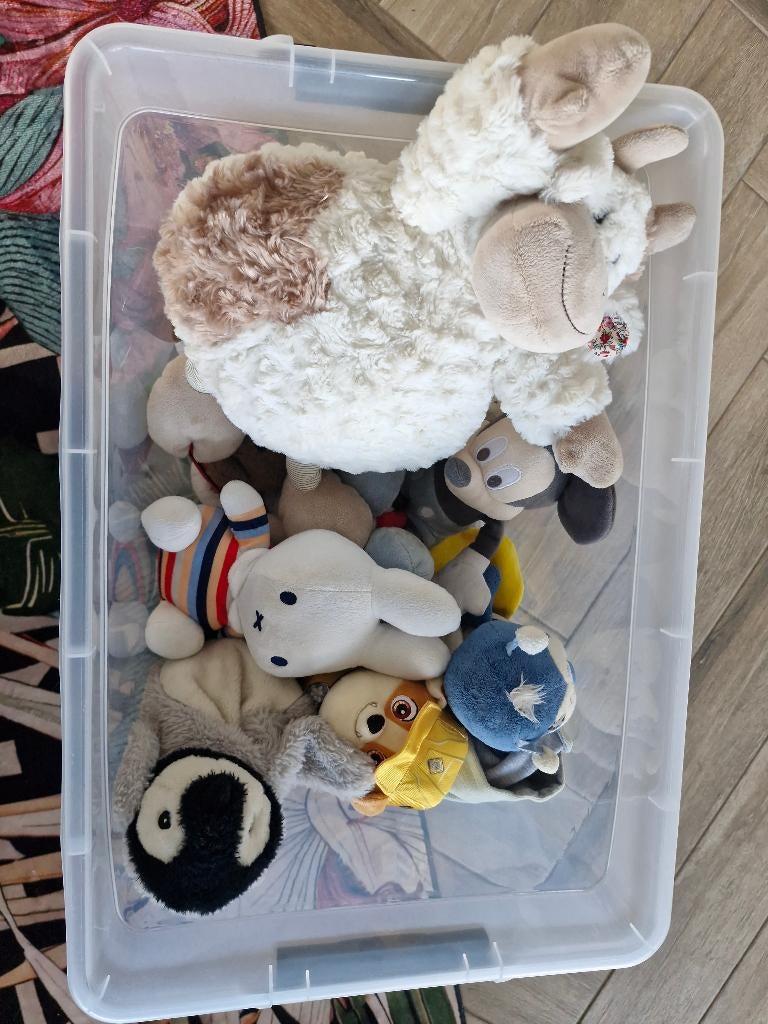 Knuffels diverse, Enfants & Bébés, Jouets | Peluches, Enlèvement, Comme neuf, Lion
