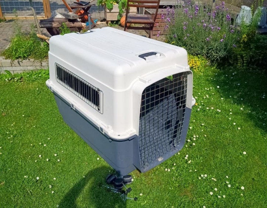 Cage à roulettes pour chien, Enlèvement