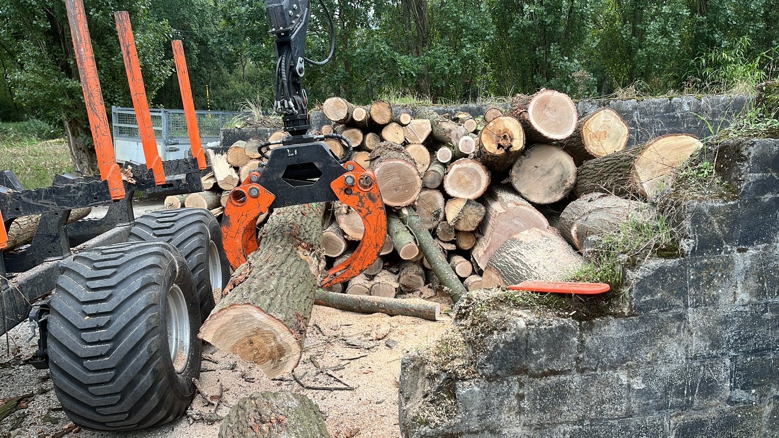 Eik op meterstukken, 6 m³ of meer, Ophalen, Eikenhout, Stammen