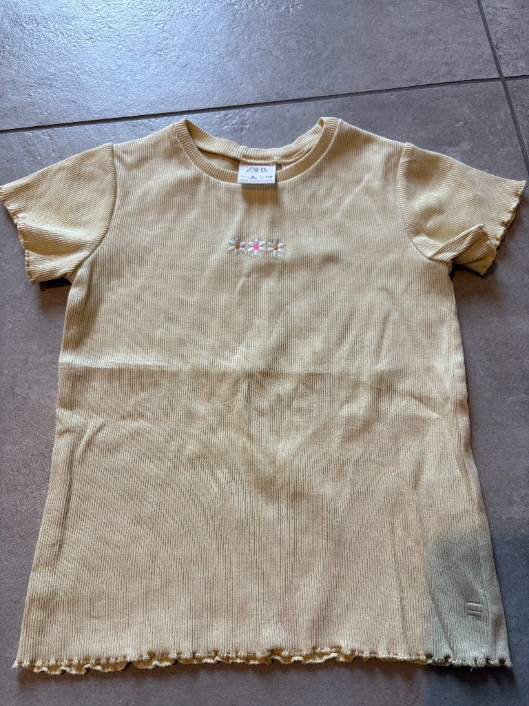 T shirt, Ophalen, Meisje, Zo goed als nieuw, Zara