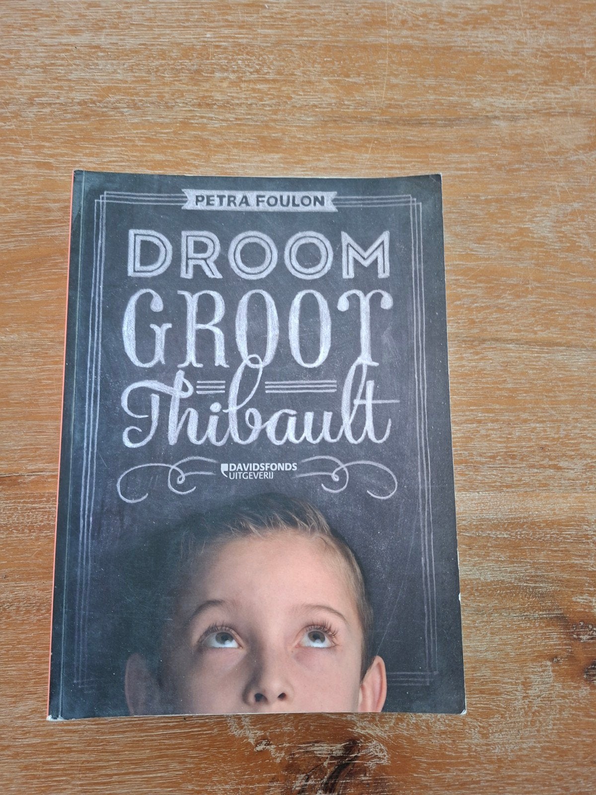 Petra Foulon - Droom groot Thibault, Ophalen of Verzenden, Zo goed als nieuw, Petra Foulon