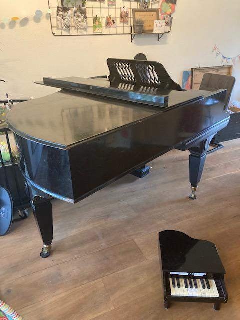 Prachtige Ibach-vleugel (1911) – warme concertklank, Muziek en Instrumenten, Piano's, Ophalen of Verzenden, Gebruikt, Zwart, Vleugel