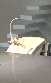 Newborn set pour chaise Tripp Trapp, Kinderen en Baby's, Ophalen, Gebruikt, Meegroeistoel