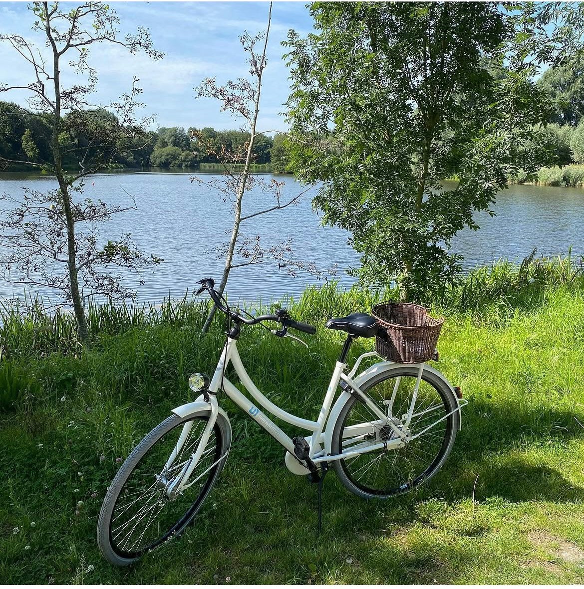 Cortina witte fiets voor volwassenen met mand, Fietsen en Brommers, Ophalen, Zo goed als nieuw