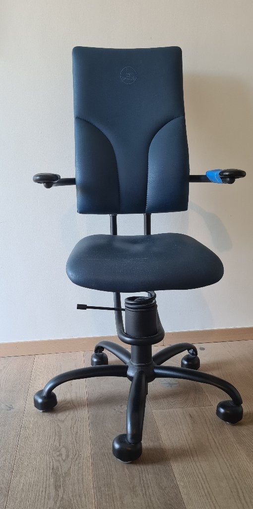 Ergonomische bureaustoel Spinalis, Ophalen, Ergonomisch, Gebruikt, Bureaustoel