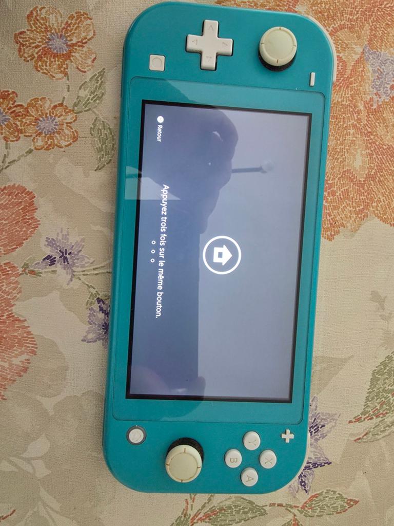 Console Nintendo switch lite avec chargeur et pochette, Enlèvement