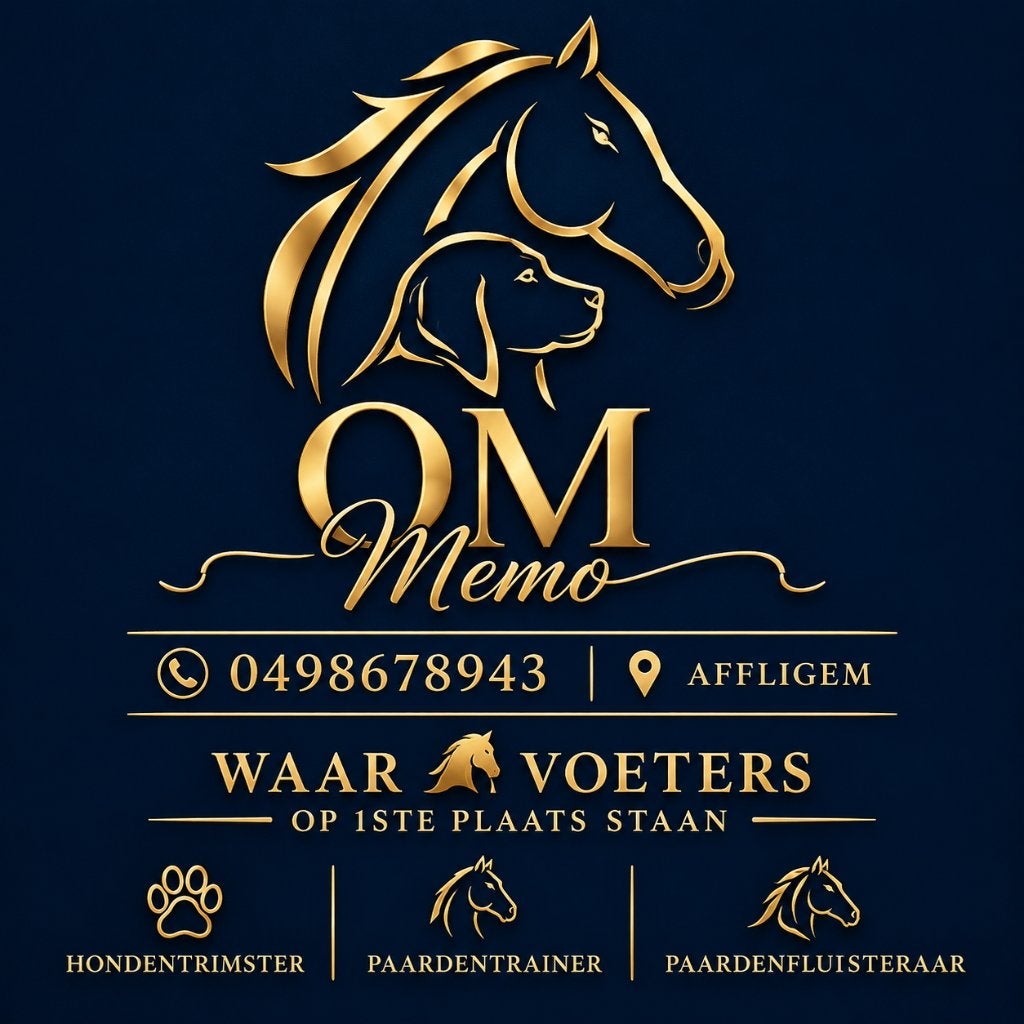 ️ QM MEMO – PROFESSIONEEL PAARDENSCHEREN! ️NU 20% KORTING