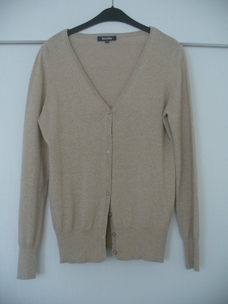 Vestje Bel&Bo maat XL, Kleding | Dames, Truien en Vesten, Bel & Bo, Ophalen of Verzenden, Zo goed als nieuw, Maat 46/48 (XL) of groter