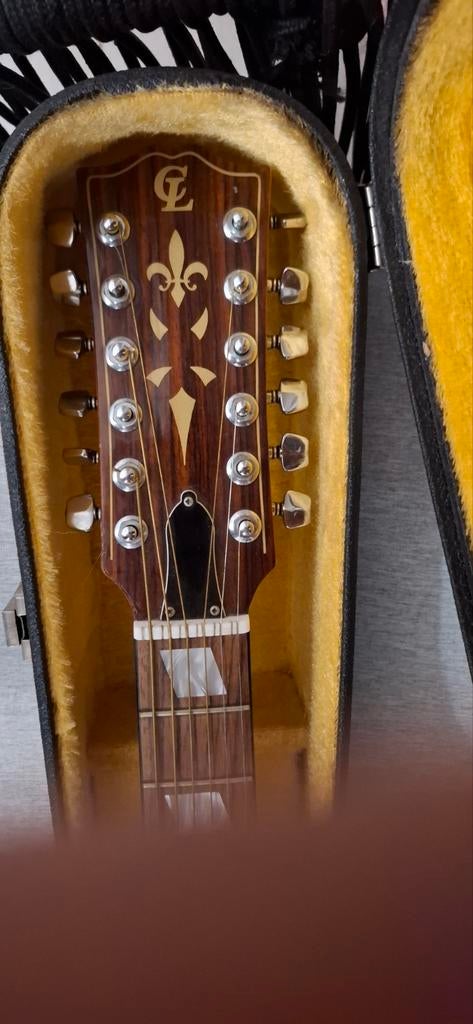 12 string met hardcase, Muziek en Instrumenten, Ophalen