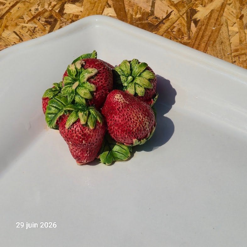 Plat à cake pour dessert ou salé, avec des fraises, Envoi