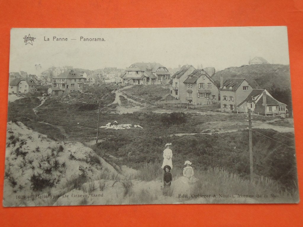 De Panne - La Panne Panorama, Verzamelen, Ophalen of Verzenden, Voor 1920, Gelopen, West-Vlaanderen
