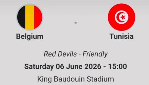 Tickets België-Tunesië 6 juni, Tickets en Kaartjes, Evenementen en Festivals, Drie personen of meer