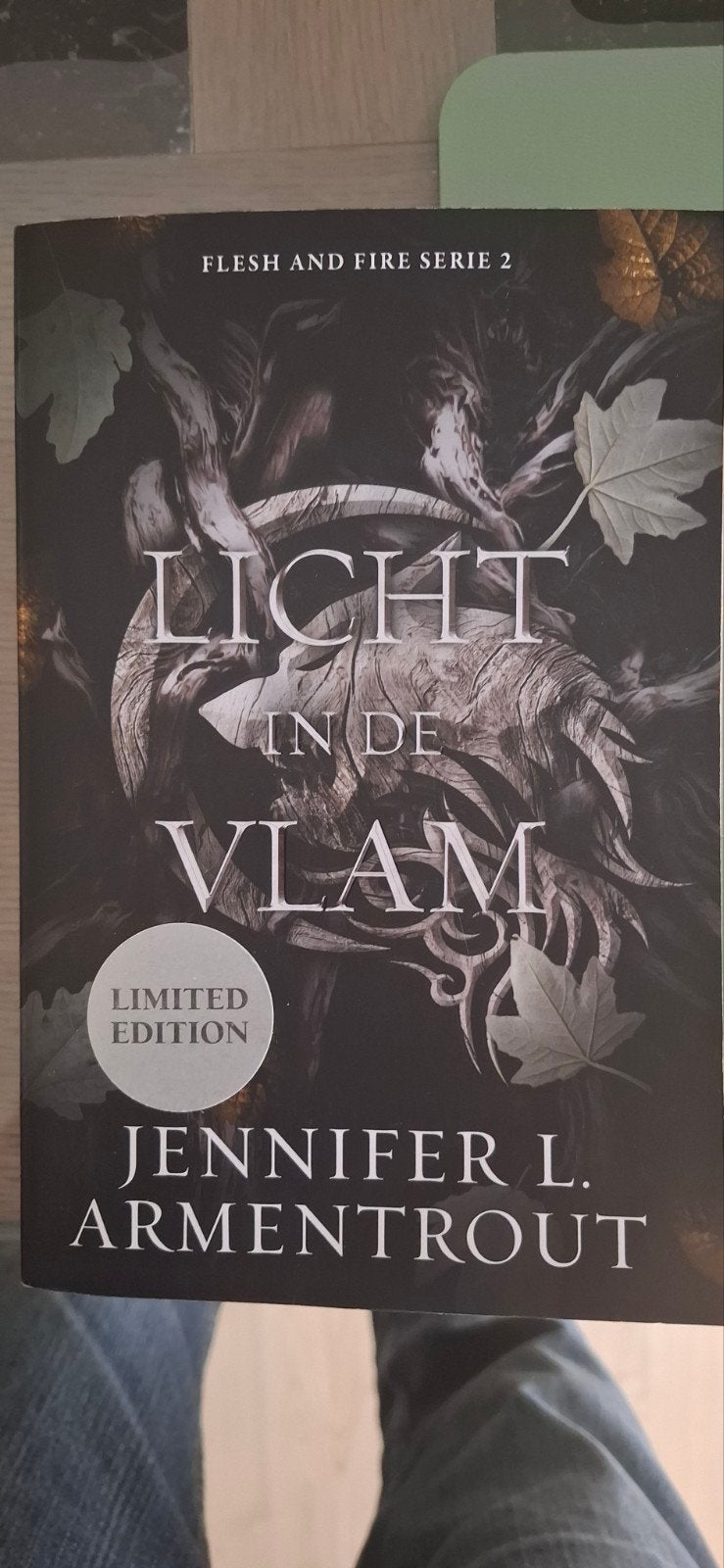 Jennifer L. Armentrout - Licht in de vlam, Livres, Enlèvement ou Envoi, Jennifer L. Armentrout