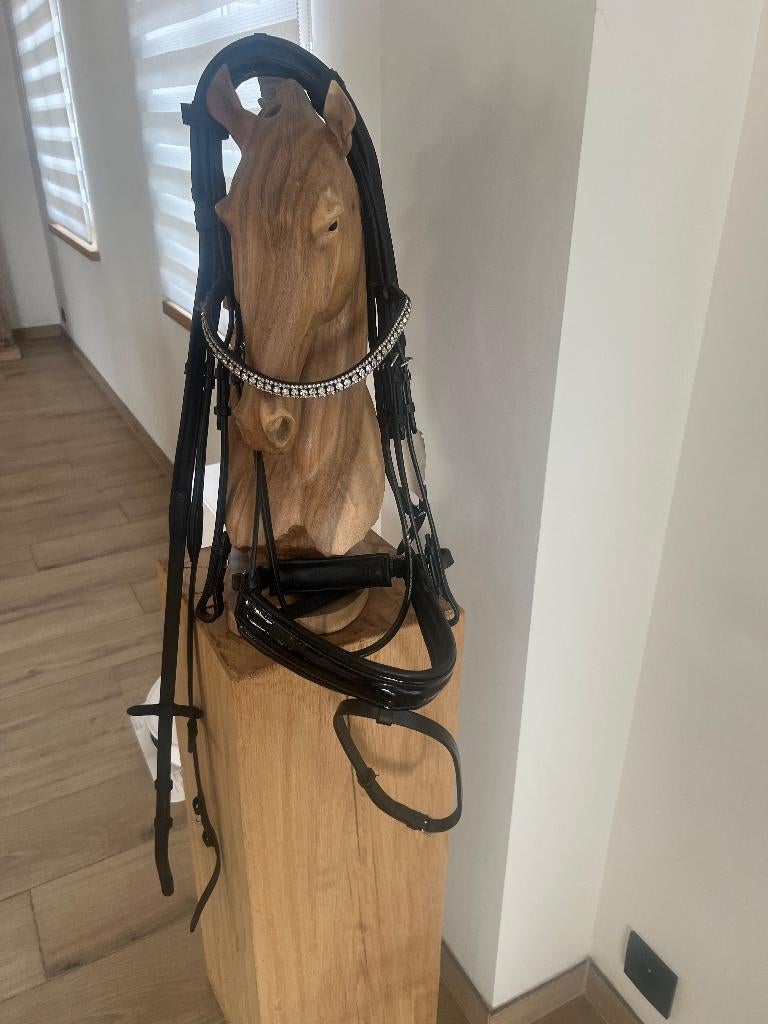 Nieuw hoofdstel, Dieren en Toebehoren, Ophalen of Verzenden, Nieuw, Overige soorten