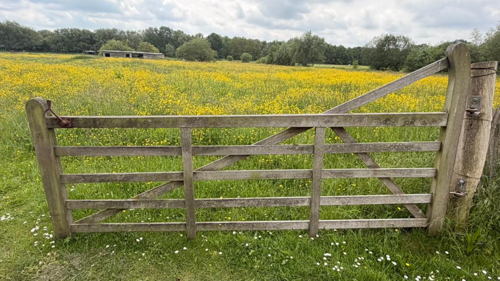 Engelse poort (3m), Ophalen, Gebruikt, Hout, Overige typen