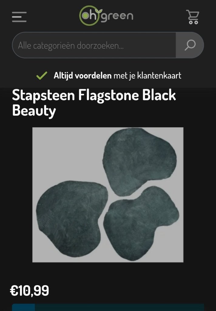 4 x Stapsteen / leisteen Flagstone Black Beauty, Tuin en Terras, Tegels en Klinkers, Ophalen, Zo goed als nieuw, Natuursteen, Overige typen