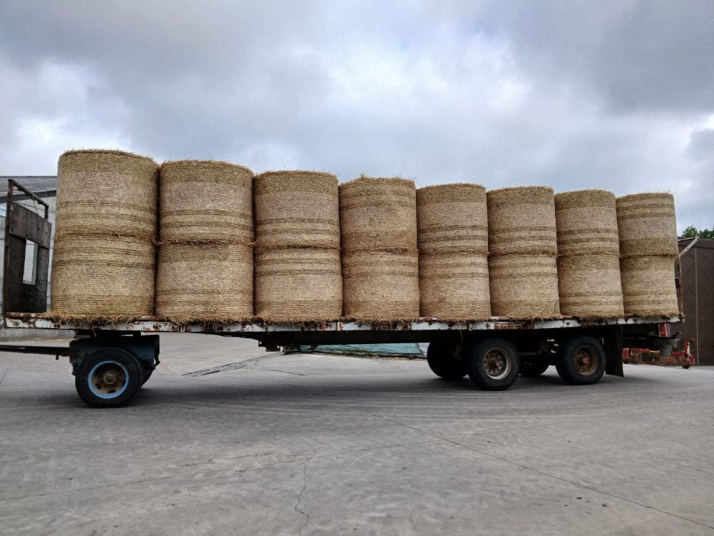 Semi de paille à vendre, Articles professionnels, Agriculture | Outils, Cultures, Élevage, Transport, Enlèvement