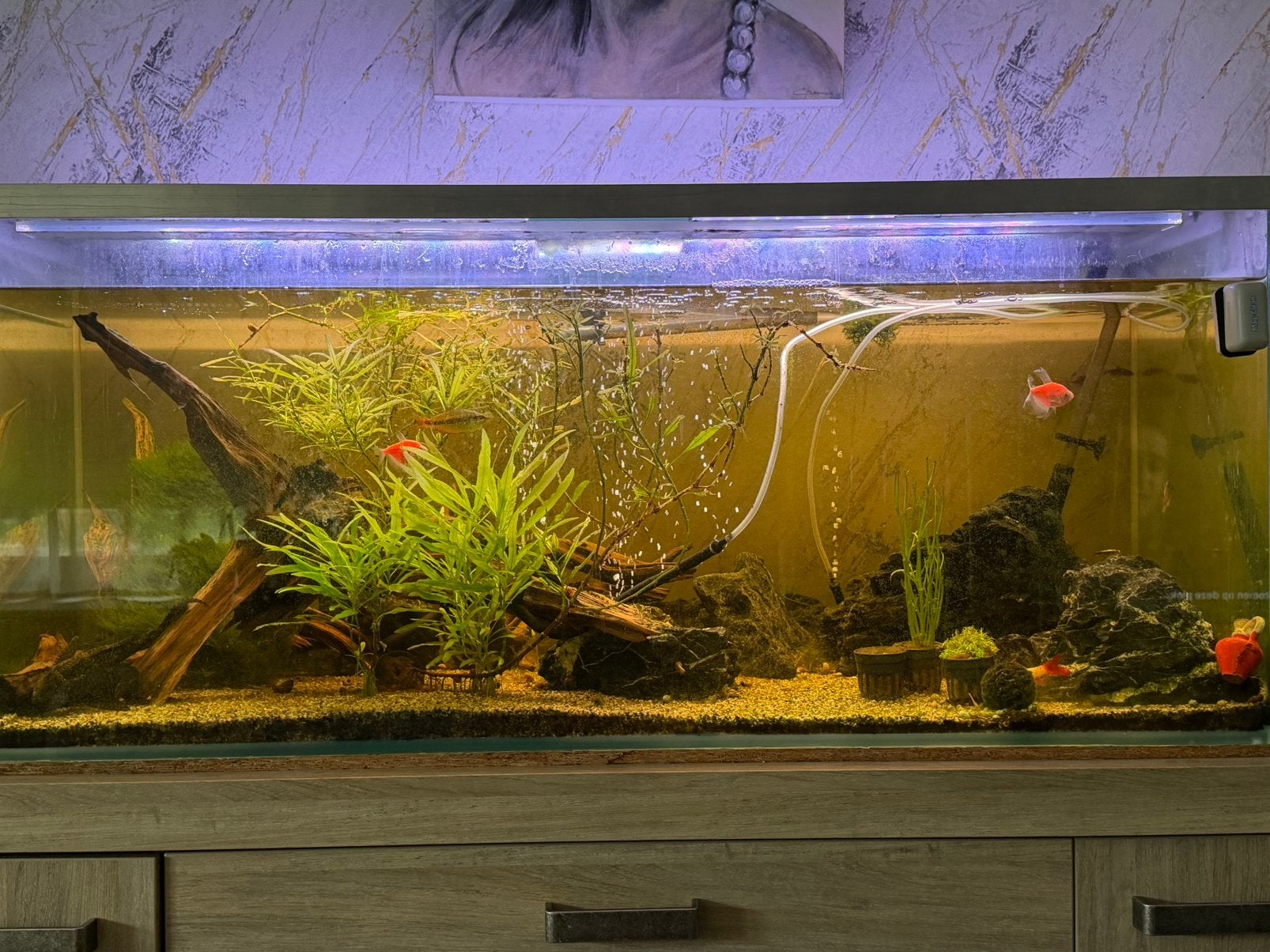 Volledige aquarium met filter en warmtepomp, Animaux & Accessoires, Enlèvement, Comme neuf