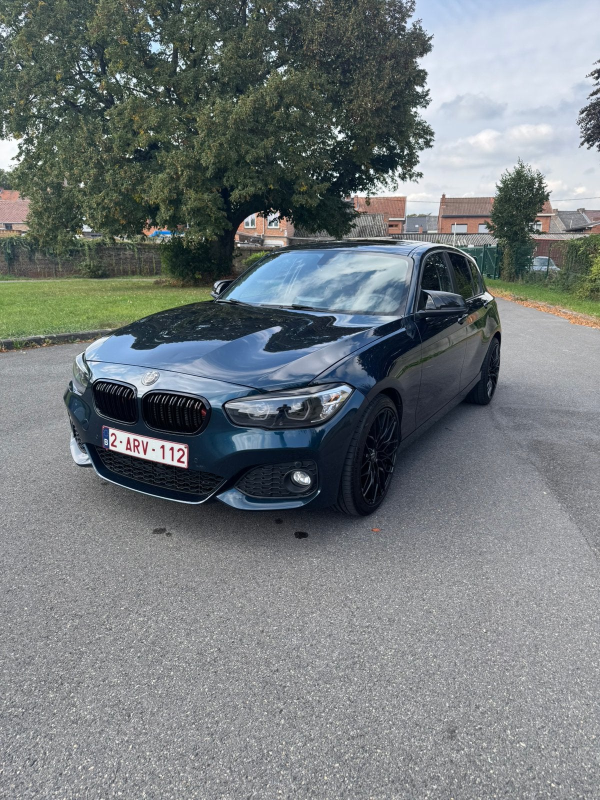 BMW 116d EfficientDynamics, Auto's, Blauw, 5 deurs, 3 cilinders, 1395 kg