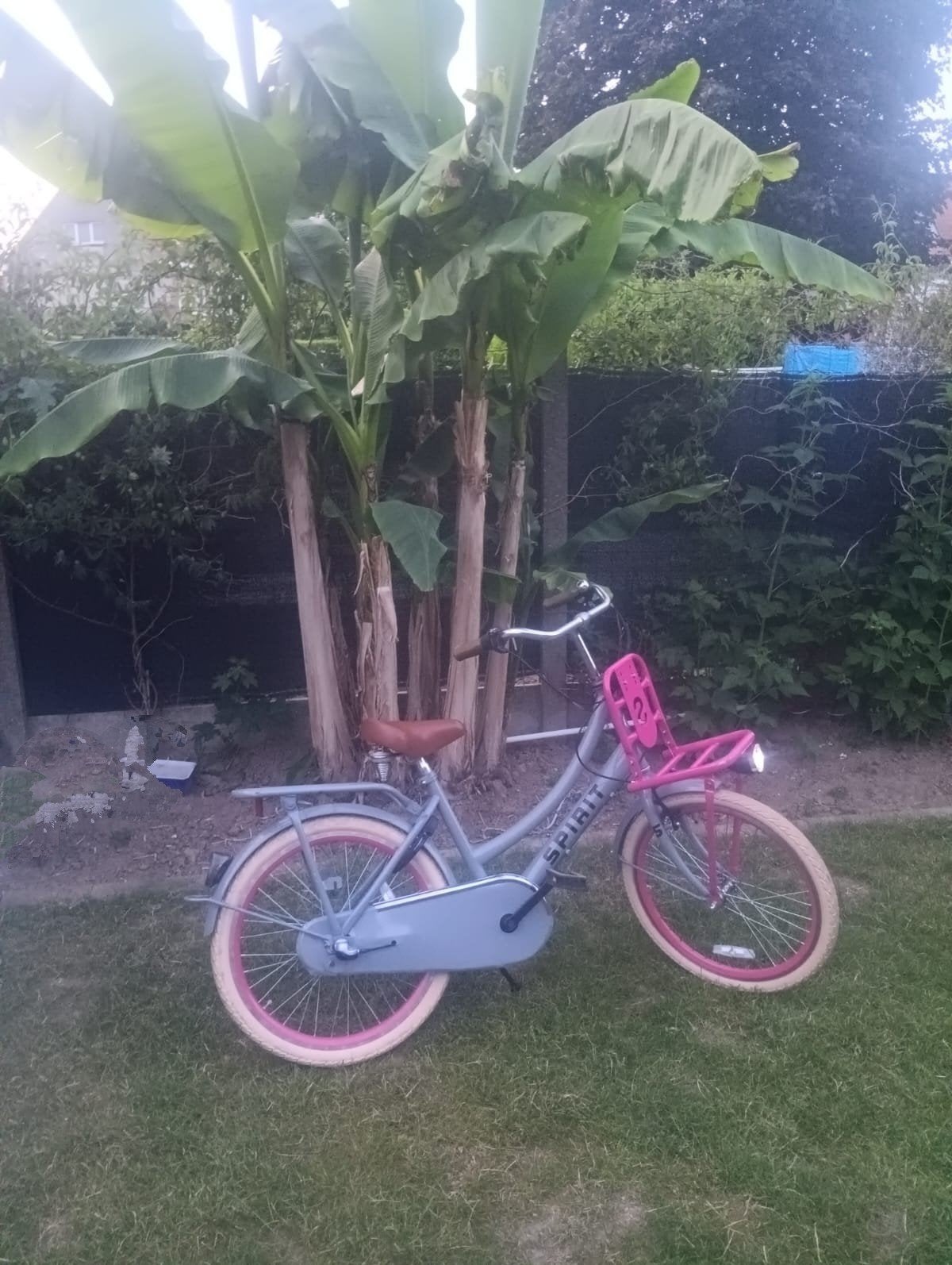 Lagere school fiets 24inch, Fietsen en Brommers, Ophalen