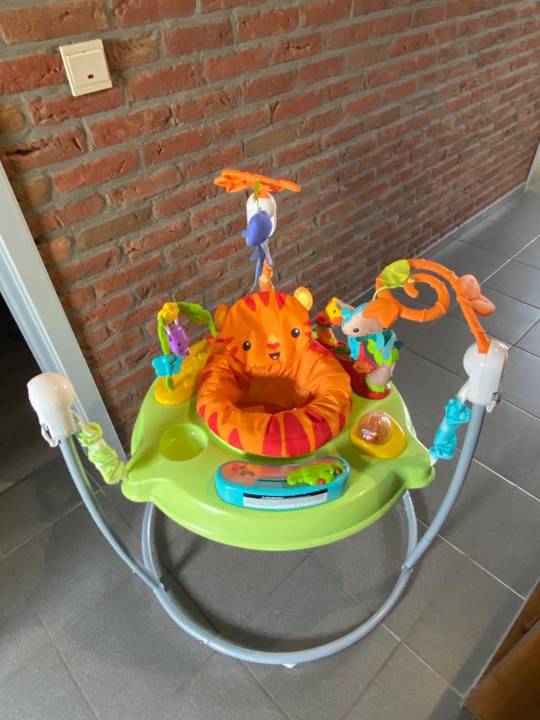 Springstoel, Kinderen en Baby's, Ophalen, Fisher-Price, Wipstoel, Verstelbaar