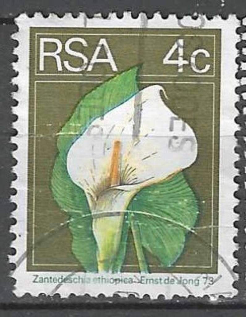 Zuid-Afrika 1974 - Yvert 362 - Witte Aronskelk (ST), Verzenden, Zuid-Afrika, Gestempeld