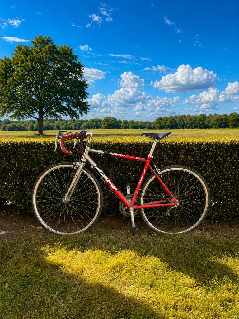 Vintage koersfiets, Autres marques, 10 à 15 vitesses, Frein sur jante, Aluminium