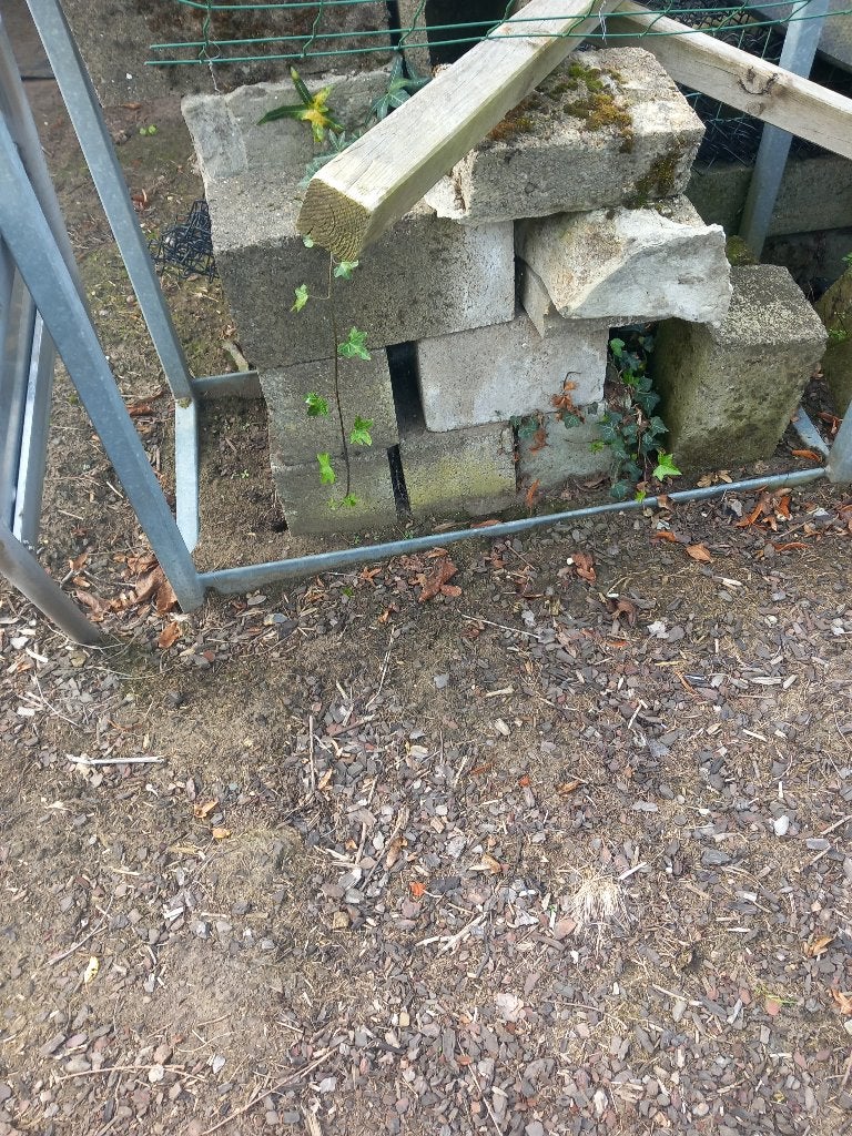 Beton steen, Doe-het-zelf en Bouw, Ophalen, Gebruikt, Beton
