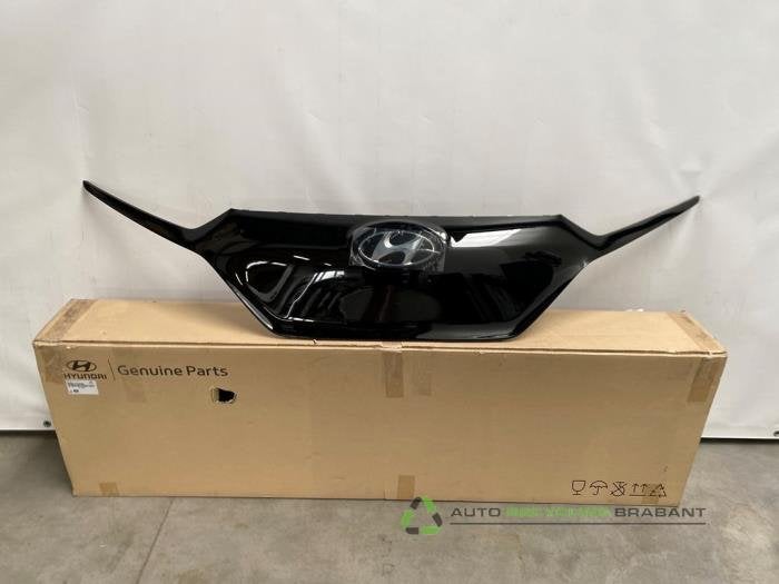 Calandre d'un Hyundai Ioniq, -, 3 mois de garantie, Utilisé, Hyundai