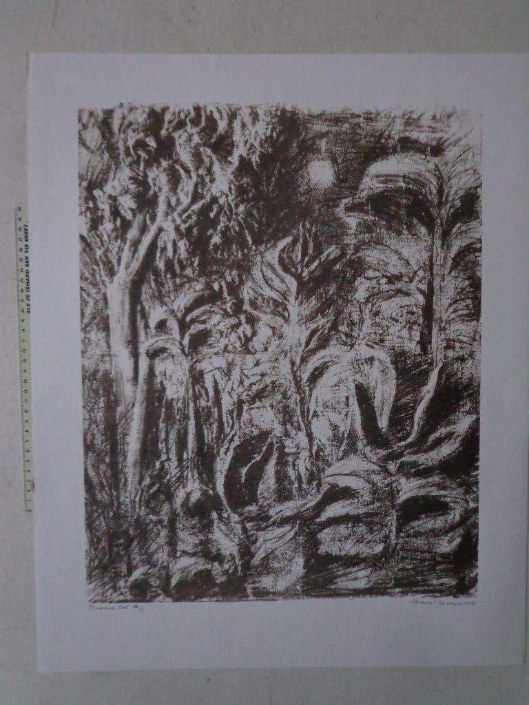 litho van Marcel Maeyer "Paradise lost" uit 1996, Gesigneerd, Ophalen of Verzenden, Lithografie, Dieren en Natuur
