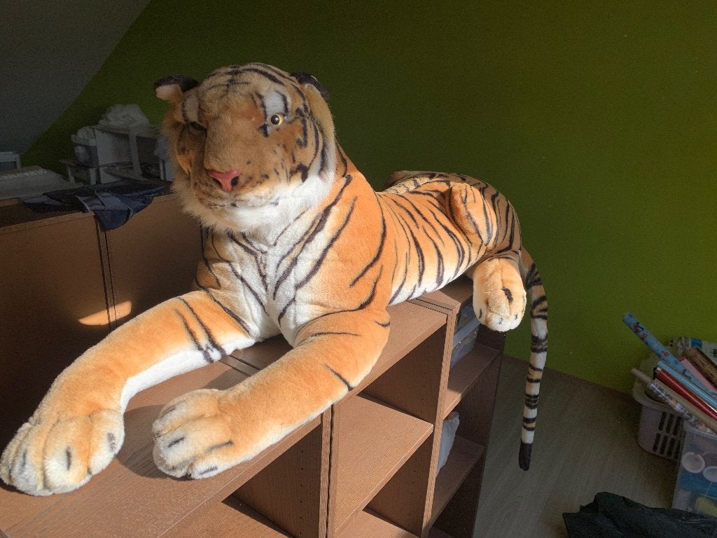 Tigre, Enfants & Bébés, Disney, Grand (plus de 80 cm), Comme neuf, Enlèvement