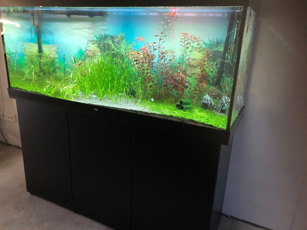 Aquarium met accessoires, Enlèvement, Filter, JBL