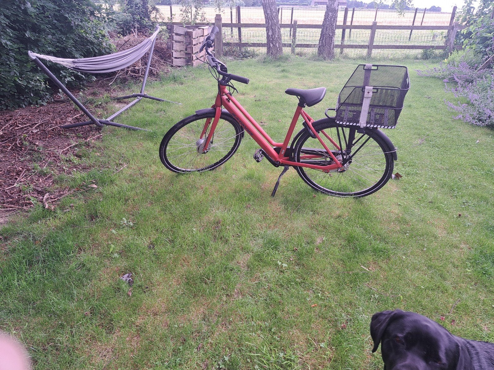 Vélo Batavus Fonk pour femme, Enlèvement