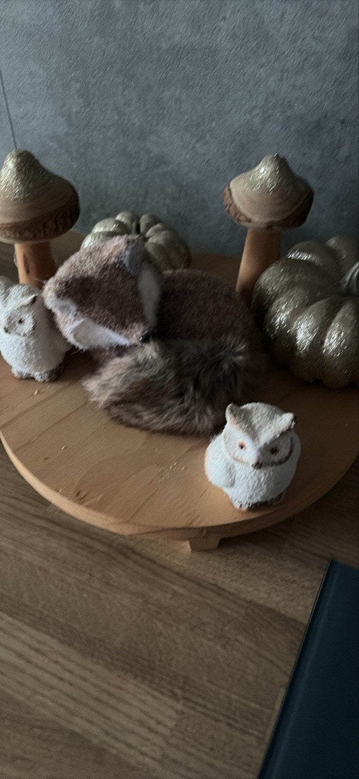 Mooi decoratie voor de herfst, Huis en Inrichting, Ophalen