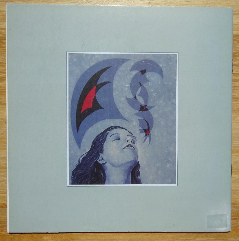 Dwin Versmesse, monografie 2005, Enlèvement ou Envoi, Comme neuf, Peinture et dessin