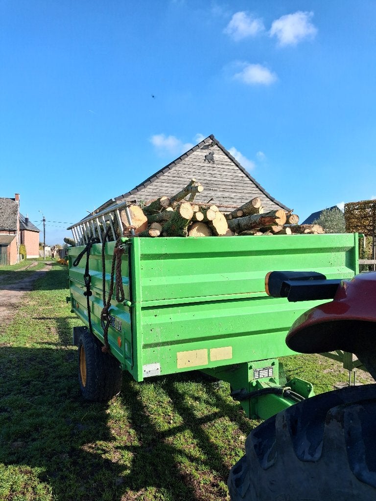 brandhout, 3 à 6 m³, Enlèvement ou Envoi, Autres essences de bois, Troncs d'arbres