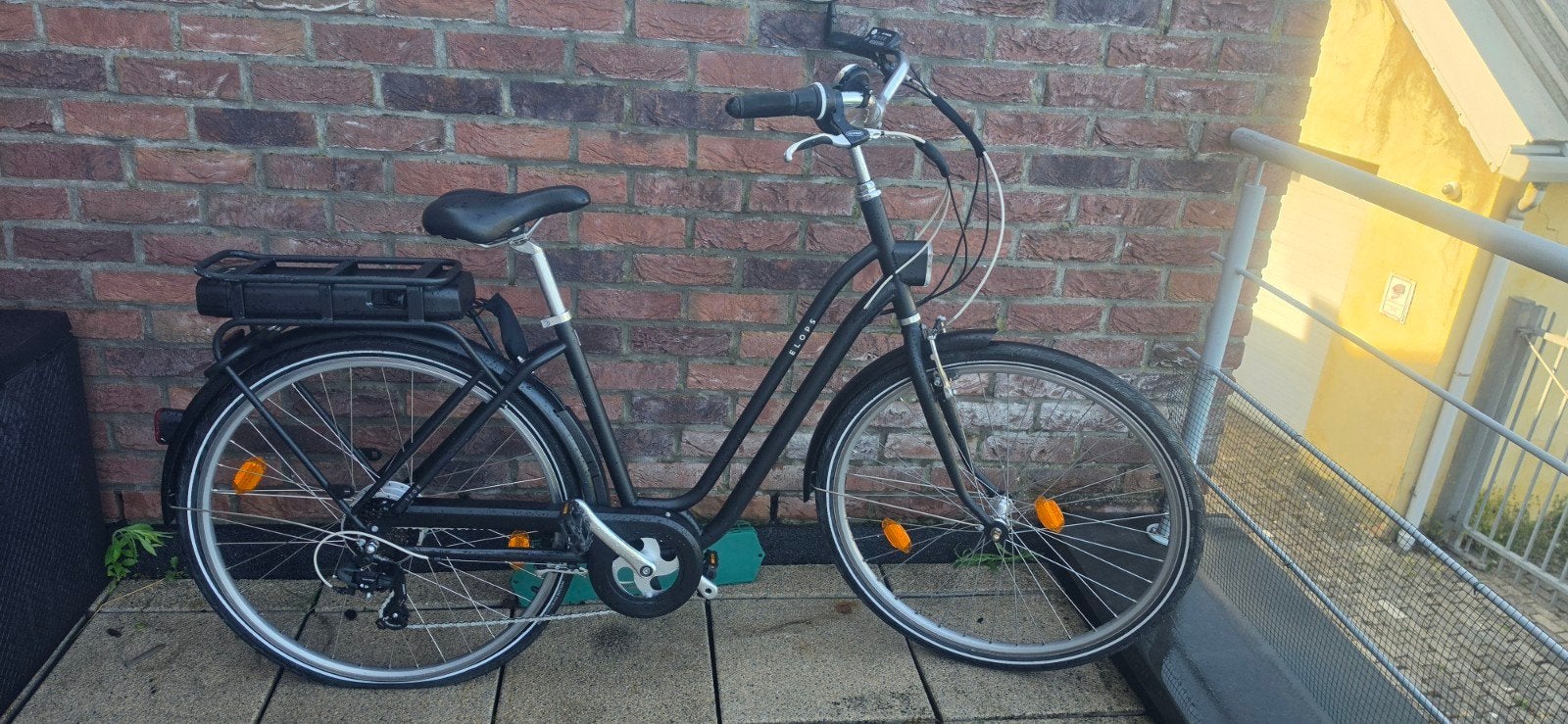Velo elops