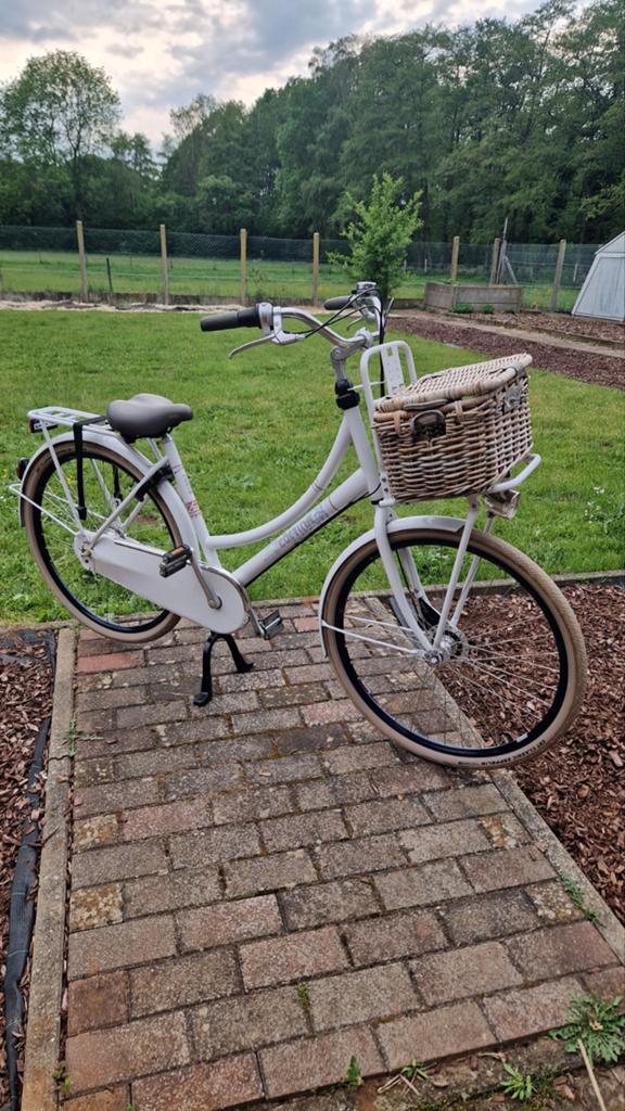 Damesfiets Cortina Roots 28 inch, 7 versnellingen inbouw, Enlèvement, Vitesses