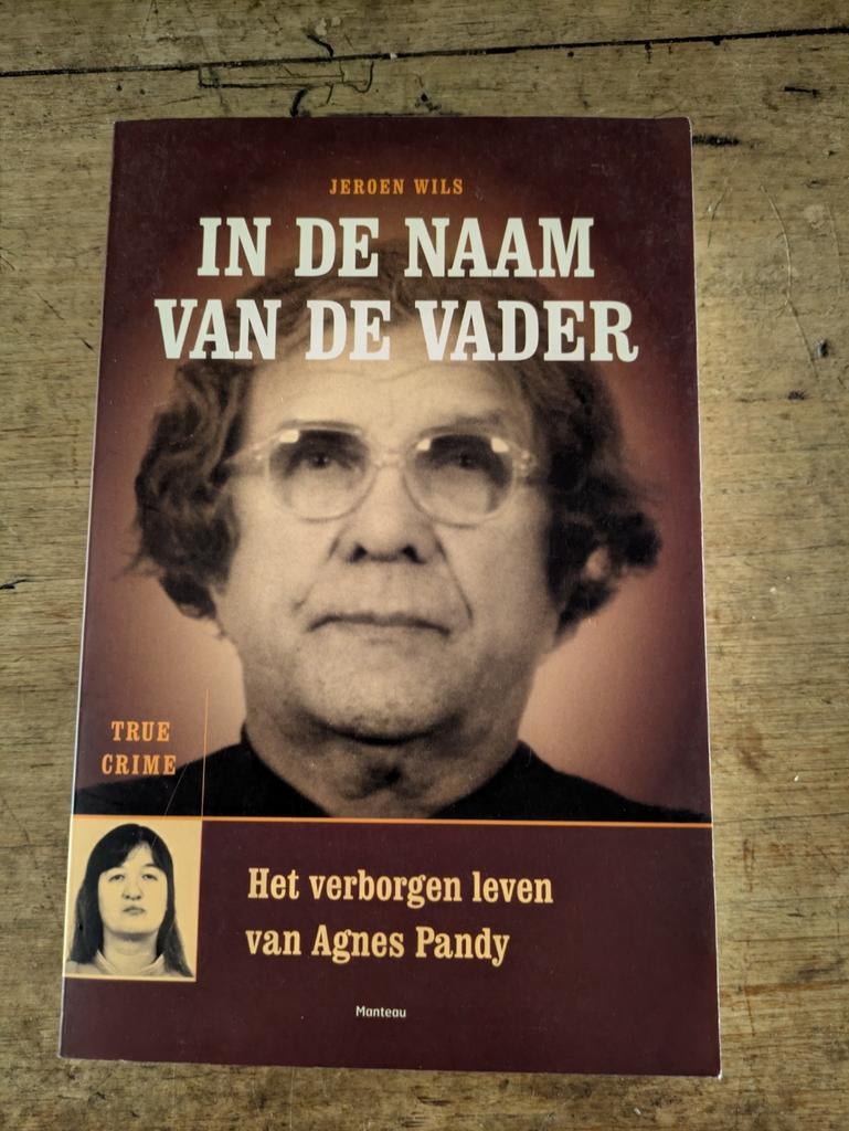 Boek In de naam van de vader - Andras Pandy, Ophalen of Verzenden