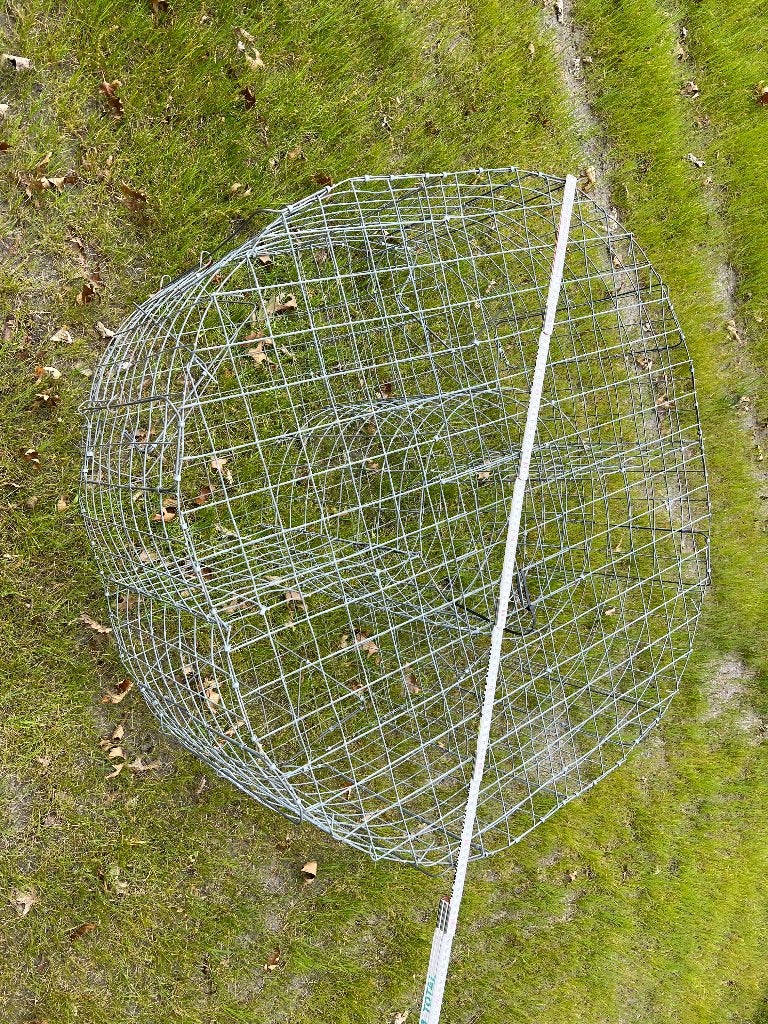 Vogelvangkooi, Ophalen