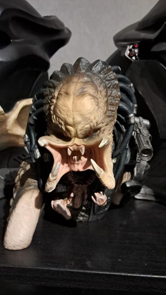 Tirelire Predator, Enlèvement