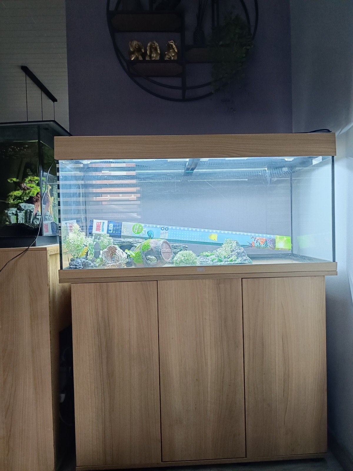 Aquarium, Ophalen, Decoratie, Gebruikt, Juwel