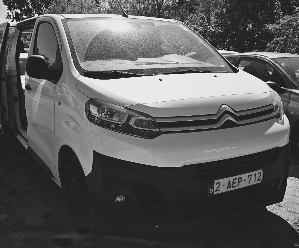 Bestelwagen, Autos, Autres modèles, Achat, Euro 6, https://public.car-pass.be/2538-4424-4129