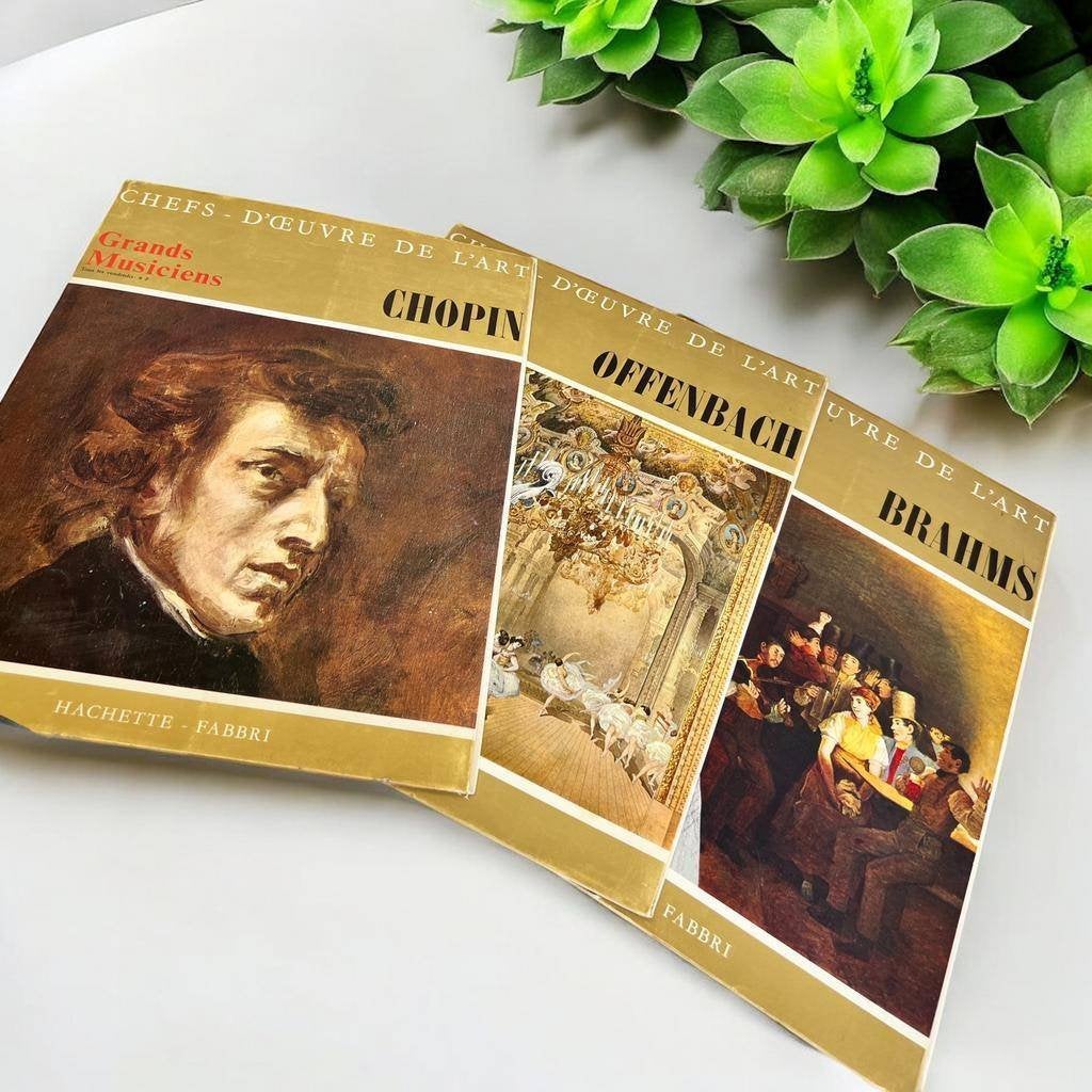 Set van 3 vintage klassieke vinyl  'chefs d'oeuvre de l'art', CD & DVD, Vinyles | Classique, Enlèvement, Brahms